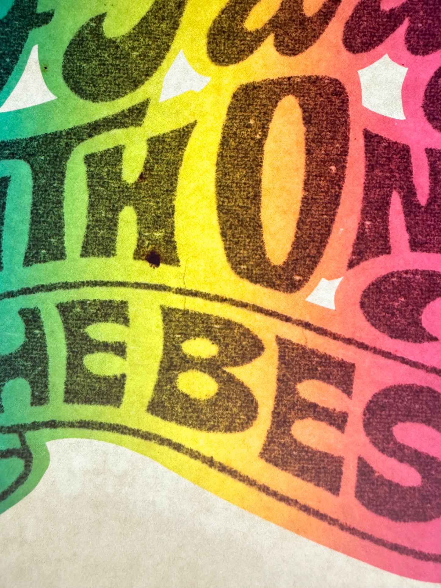 I Party With Only The Best Vintage Rainbow Iron On Heat Transfer