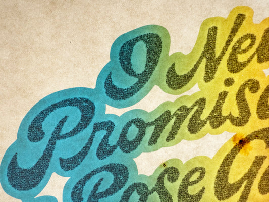 I Never Promised You a Rose Garden... Vintage Rainbow Iron On Heat Transfer