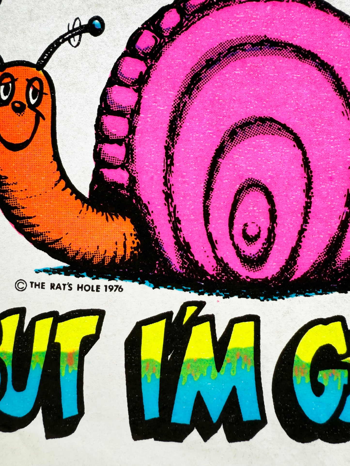 I May Be Slow But I'm Good! Snail Vintage Iron On Heat Transfer