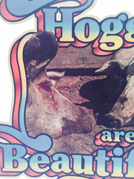 Hogs are Beautiful Vintage Holoubek Studios Iron On Heat Transfer