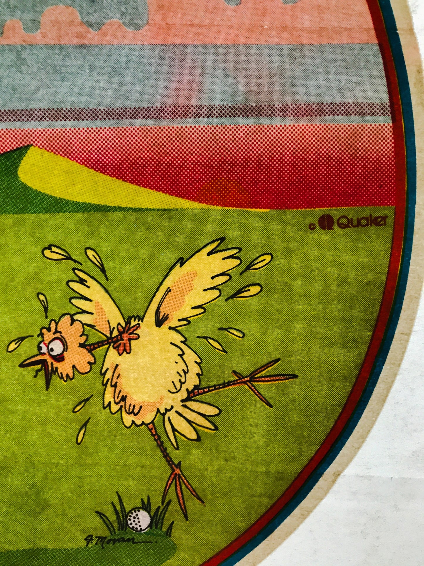 Golf and Bird Vintage Iron On Heat Transfer