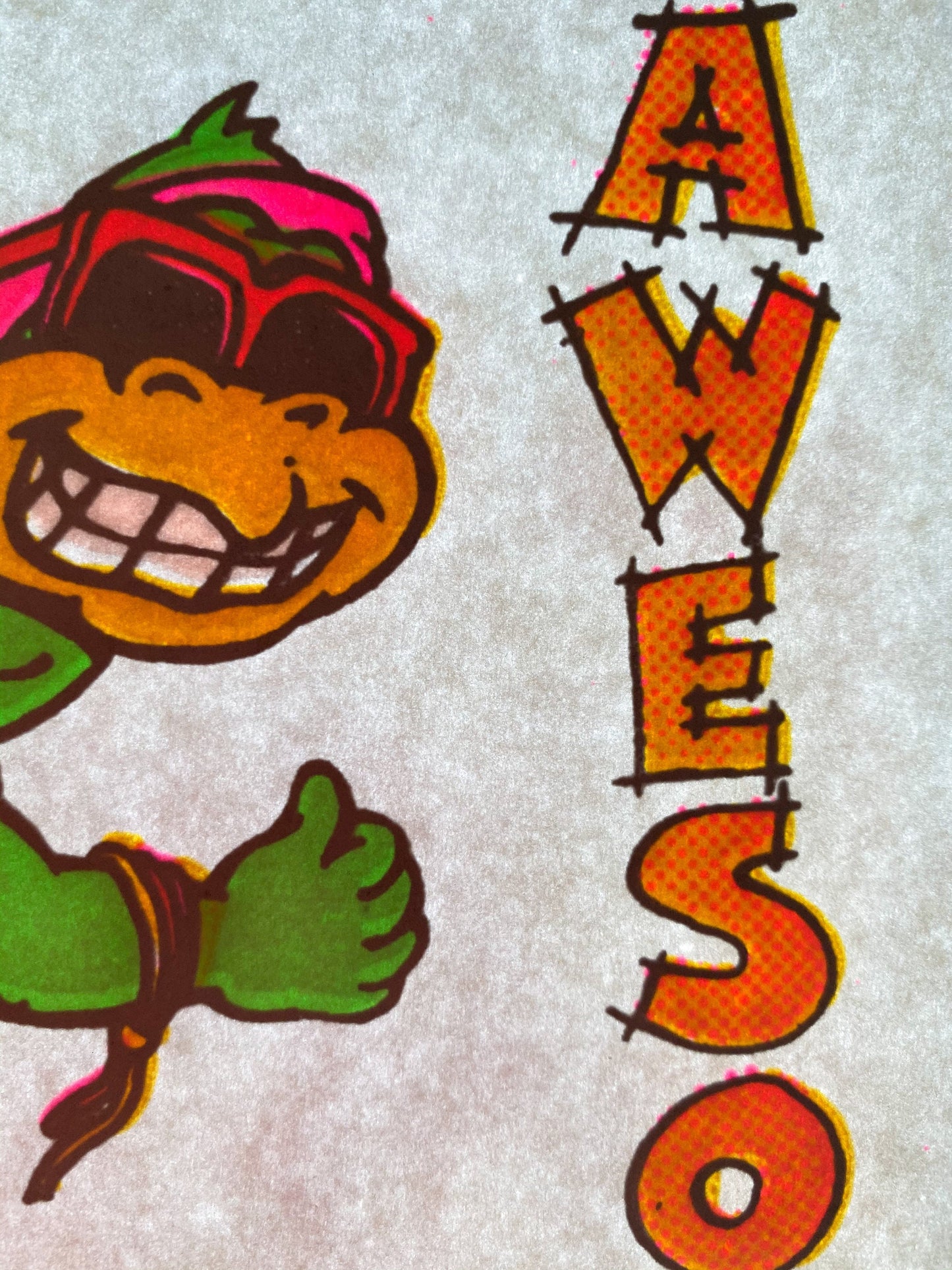 Awesome Turtle Skateboarding Vintage Iron On Heat Transfer with Gritty Ink
