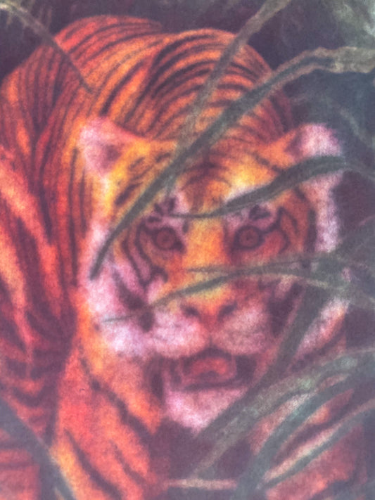 Tiger in Tall Grass Vintage Iron On Heat Transfer