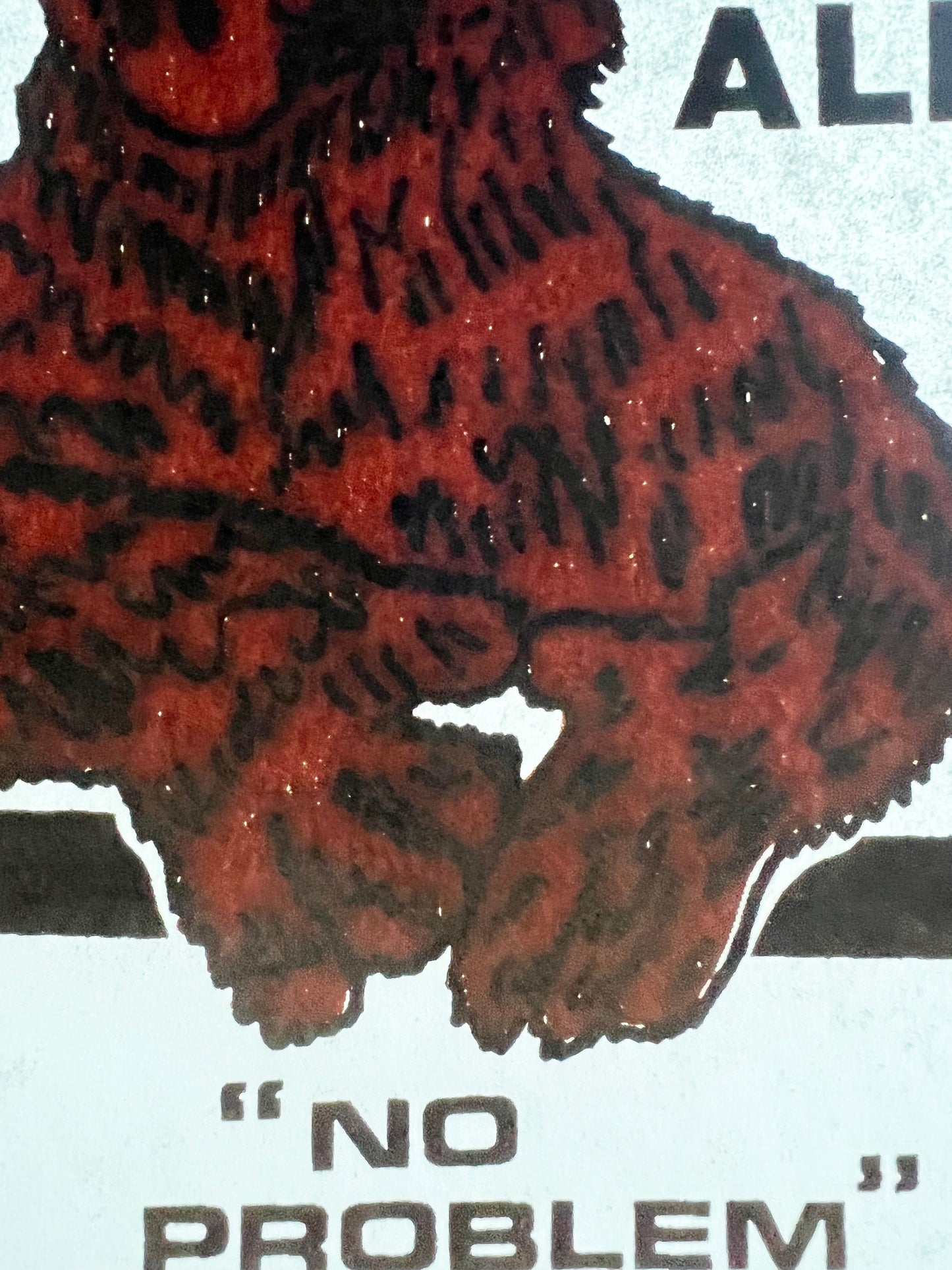 ALF (aka Alien Life Form) "No Problem" Vintage Iron On Heat Transfer