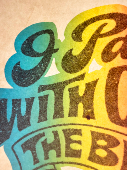 I Party With Only The Best Vintage Rainbow Iron On Heat Transfer