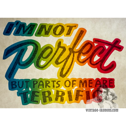 I'm Not Perfect But Parts of Me Are Terrific Vintage Rainbow Iron On Heat Transfer