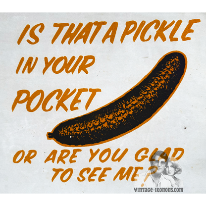 Is That A Pickle in Your Pocket or Are You Glad To See Me? Vintage Glitter Iron On Heat Transfer