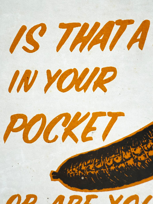 Is That A Pickle in Your Pocket or Are You Glad To See Me? Vintage Glitter Iron On Heat Transfer