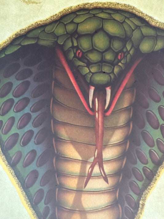 Cobra Vintage Glitter Iron On Heat Transfer