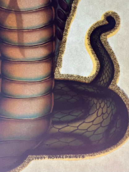 Cobra Vintage Glitter Iron On Heat Transfer
