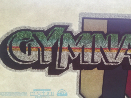 Gymnastics Vintage Glitter Iron On Heat Transfer