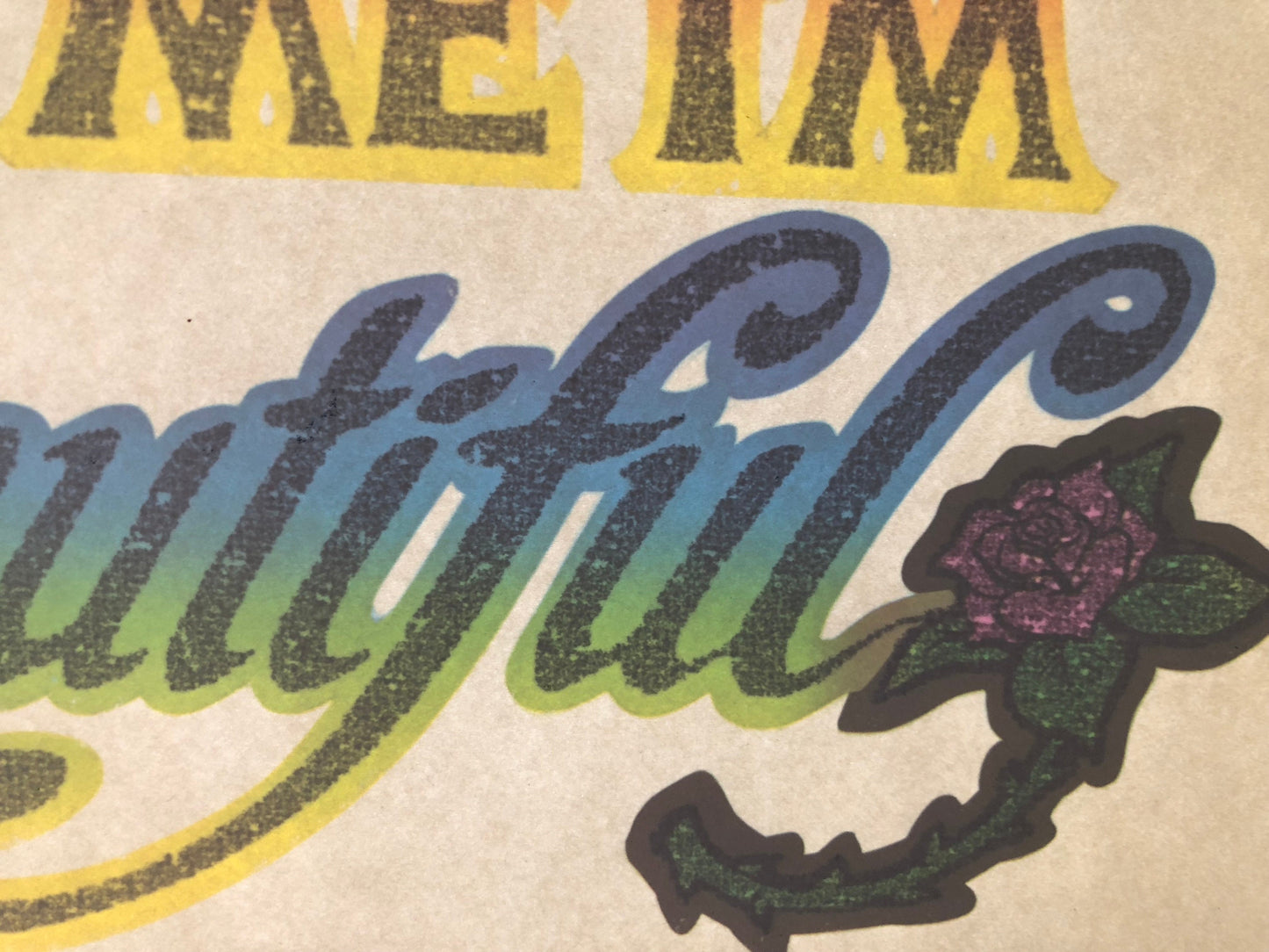 I Know I'm Efficient... Vintage Glitter Iron On Heat Transfer