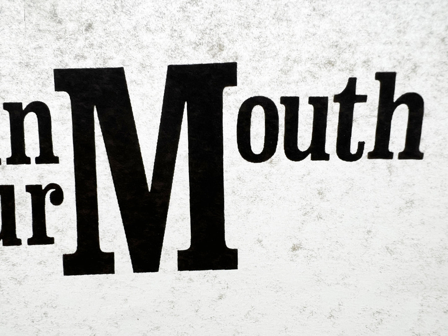 Melt in Your Mouth Vintage Iron On Heat Transfer