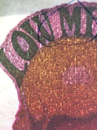 Low Melting Point Ice Cream Vintage Rainbow Glitter Iron On Heat Transfer