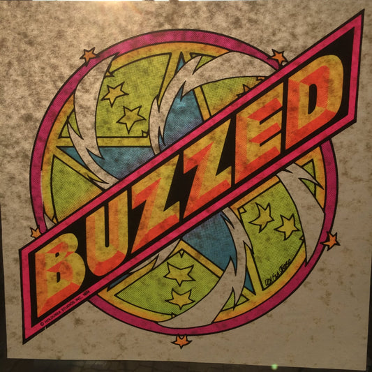 Buzzed Vintage 1974 Holoubek Studios Iron On Heat Transfer