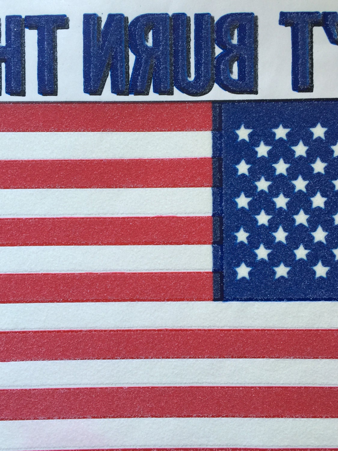 American Flag - Don't Burn This One Vintage Iron On Heat Transfer